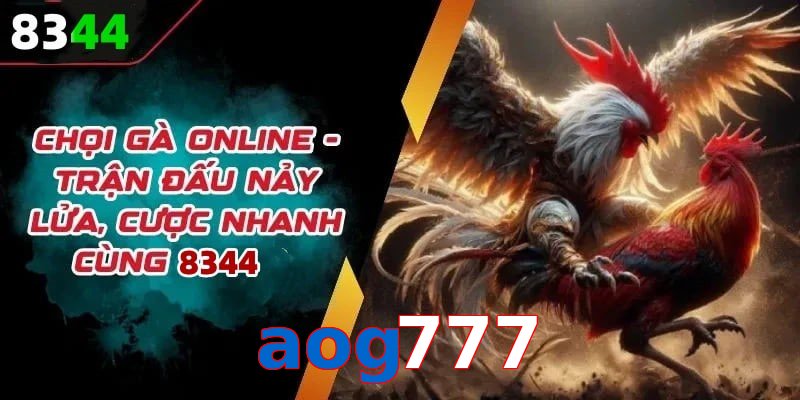 Đá gà aog777 có rất nhiều ưu điểm vượt trội so với sân chơi khác